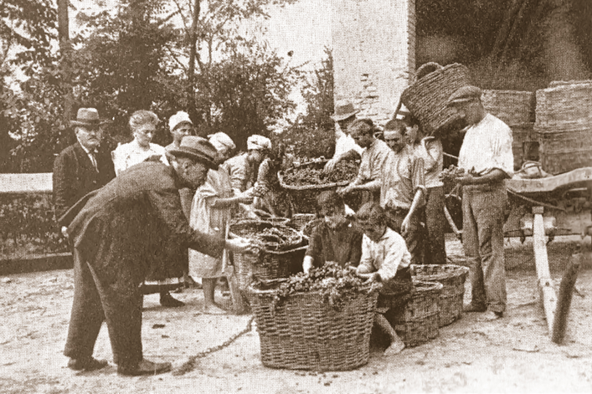 foto cantina di Nizza
